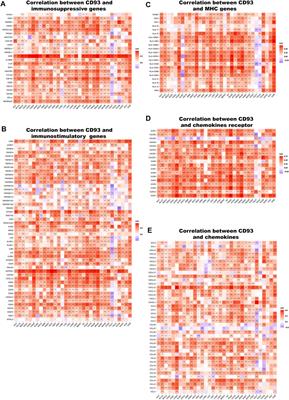 CD93 Correlates With Immune Infiltration and Impacts Patient Immunotherapy Efficacy: A Pan-Cancer Analysis